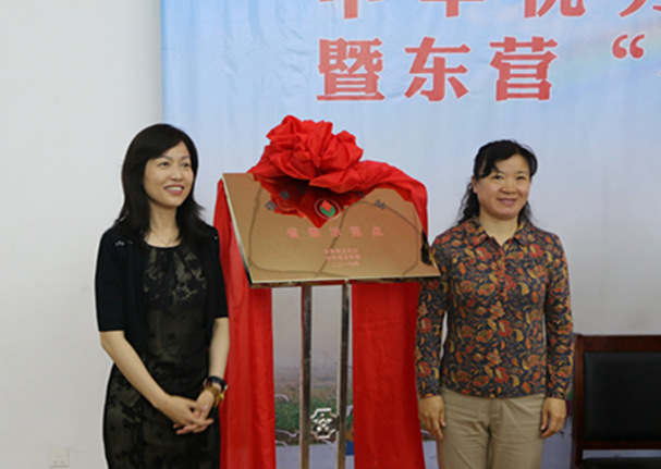 “蓓蕾艺术工作站”省级示范点落户东凯实验学校
