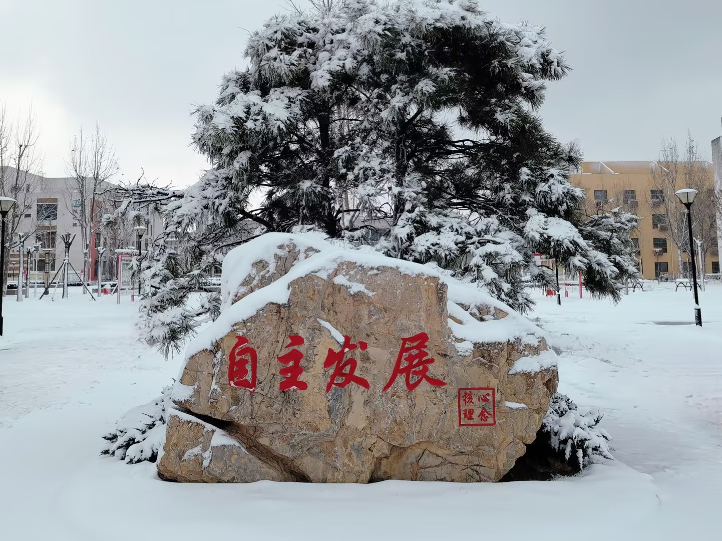 核心理念：自主发展